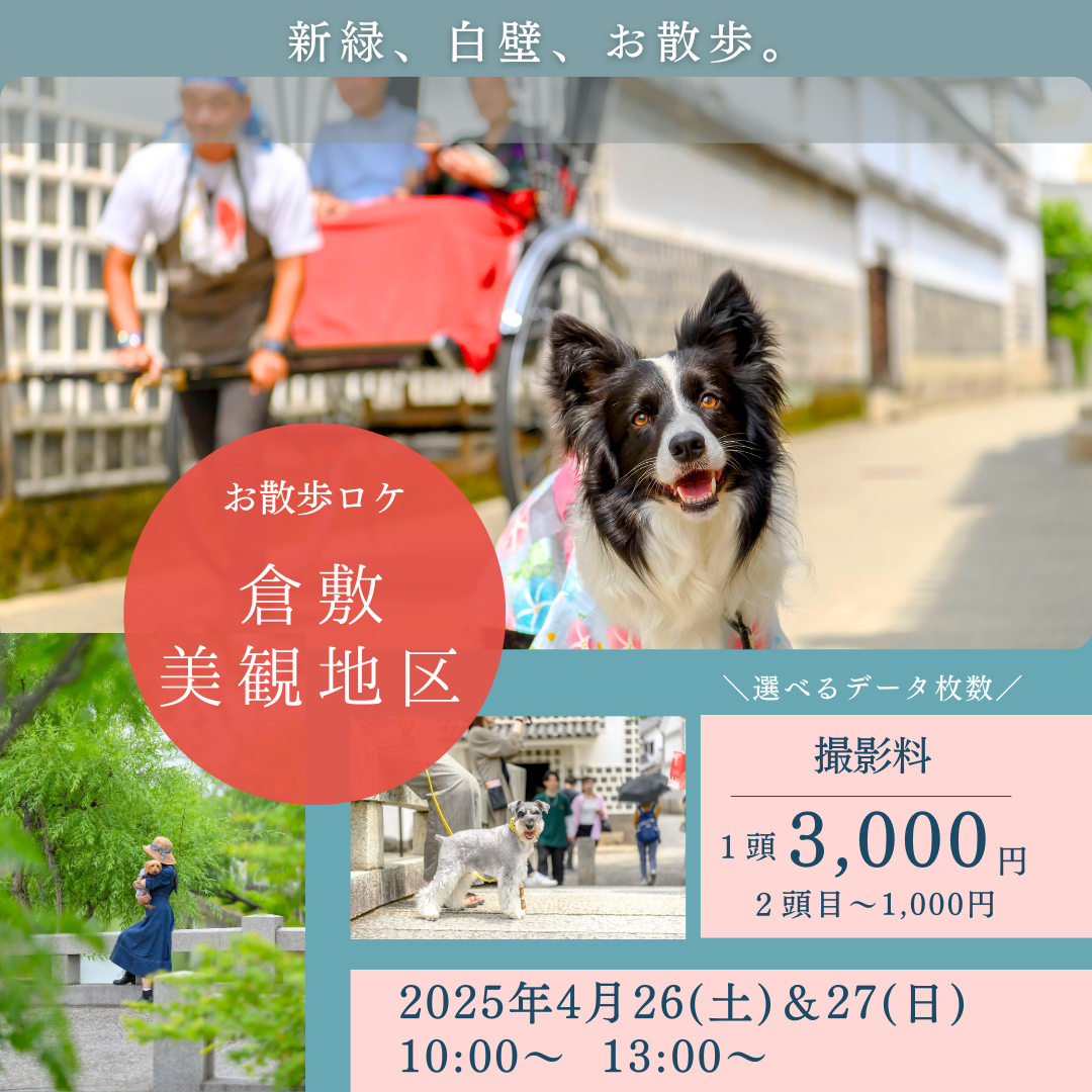 お散歩ロケin倉敷美観地区