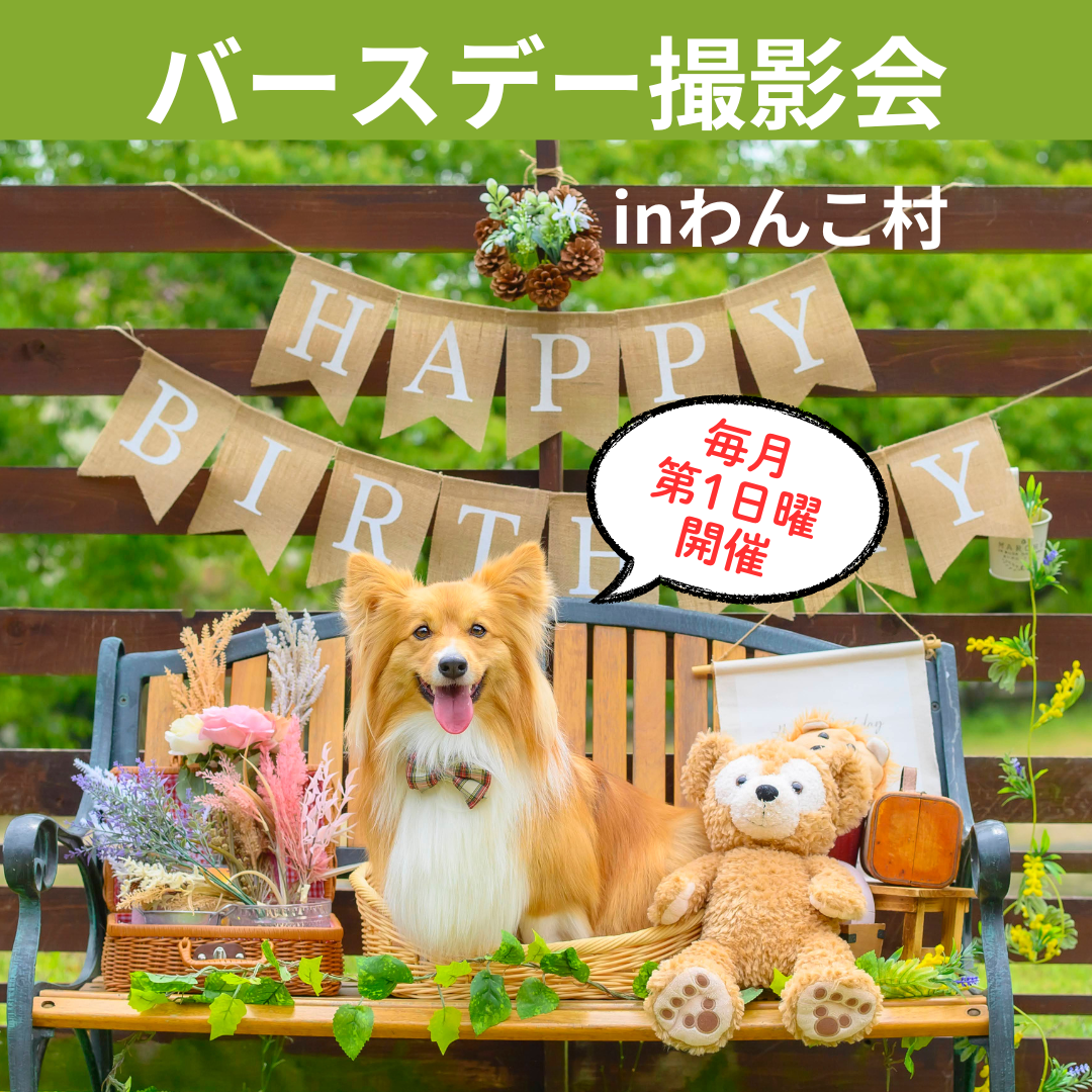 【月1回開催】バースデー撮影会2026