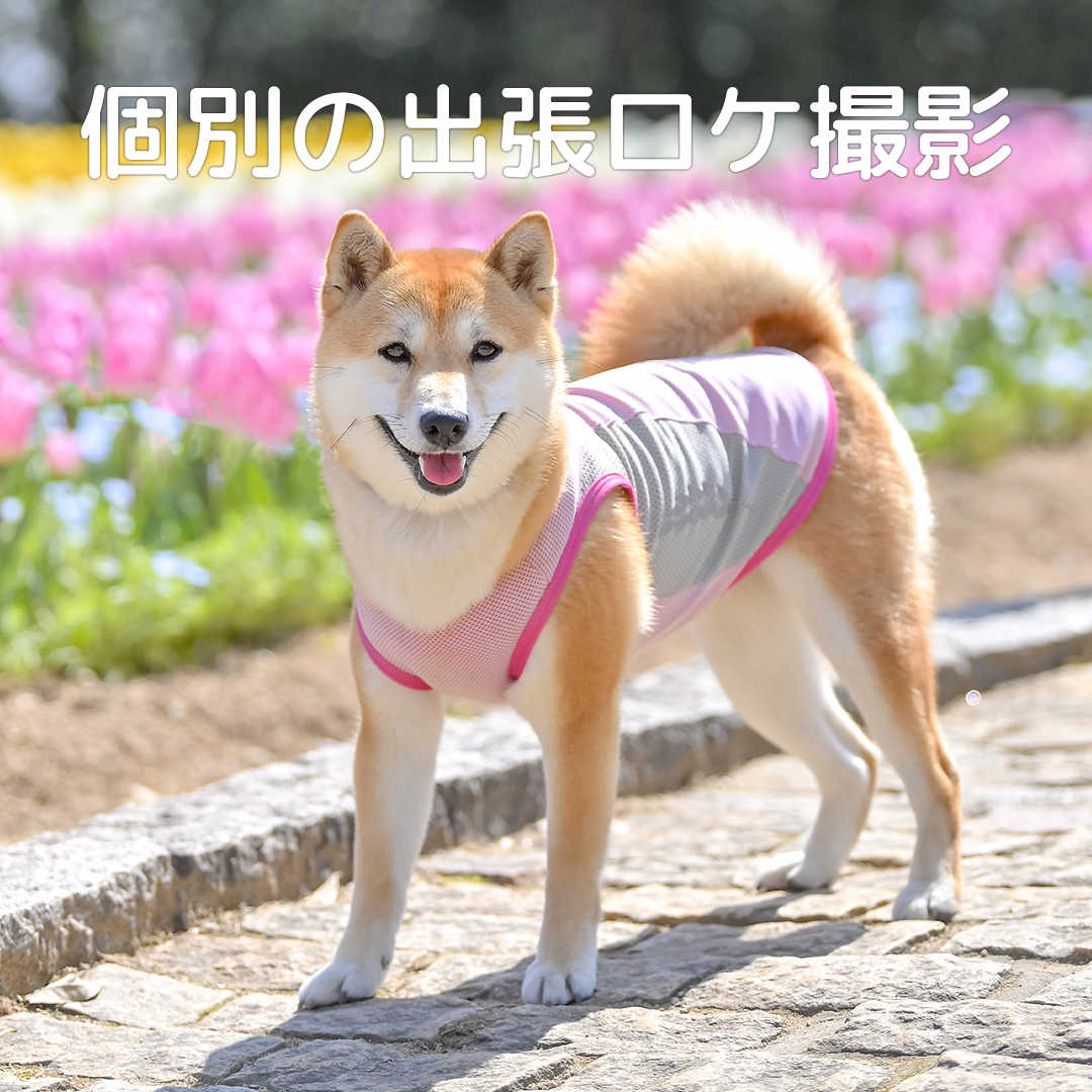 個別の出張ロケ撮影