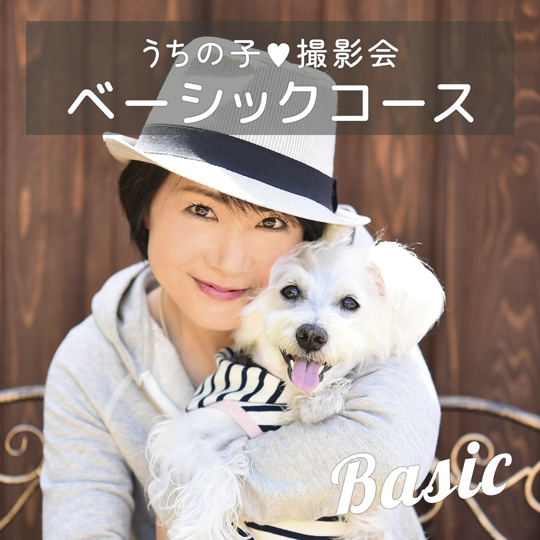 ベーシックコース