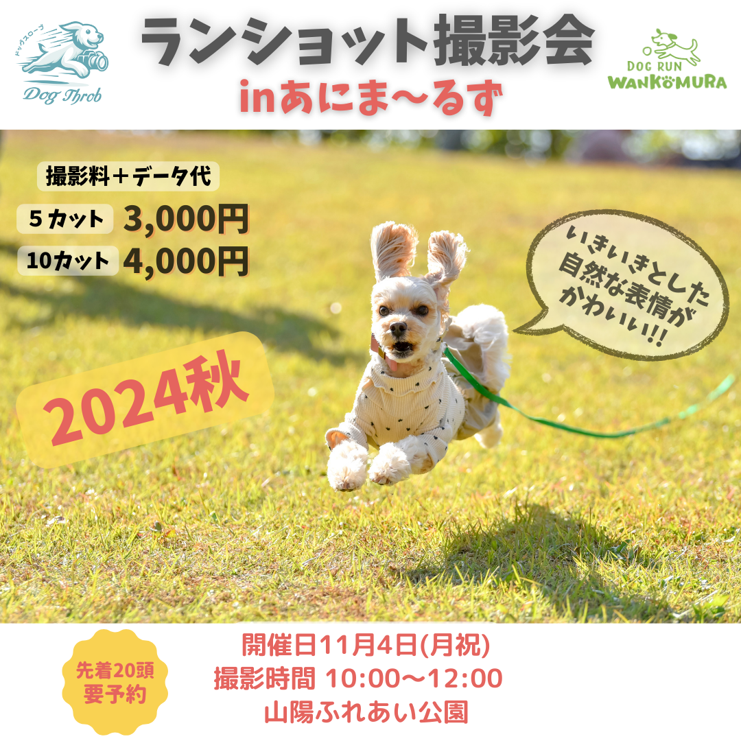 ランショット撮影会 in あにま~るず2024秋