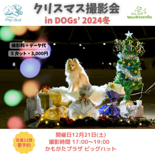 クリスマス撮影会 in DOGs’