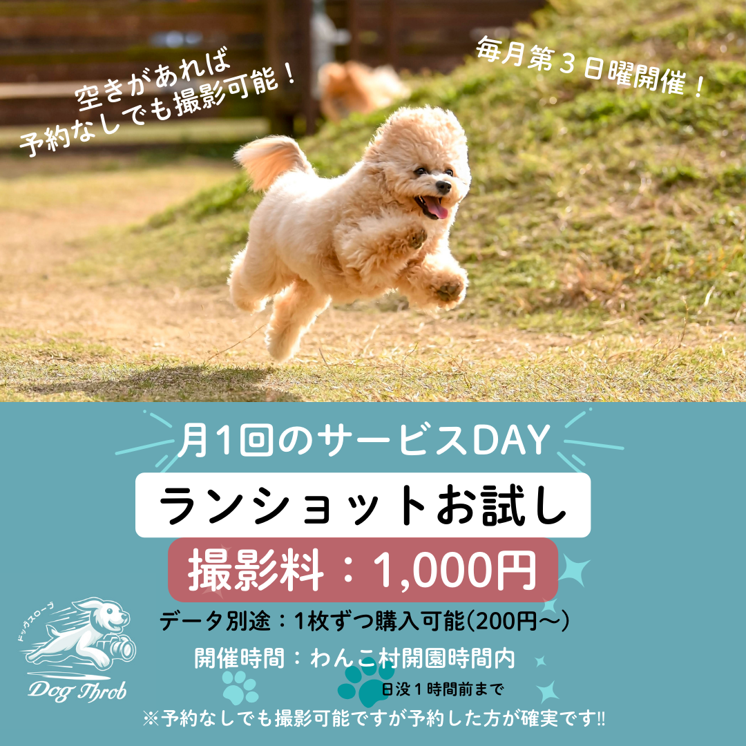 ランショットお試し会inわんこ村