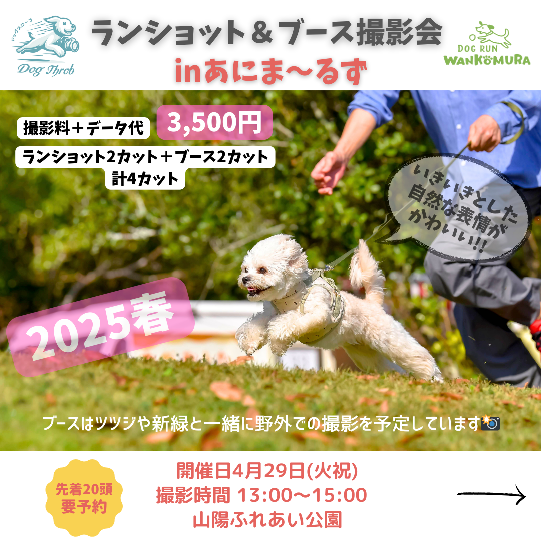 ランショット＆ブース撮影会 in あにま～るず2025春