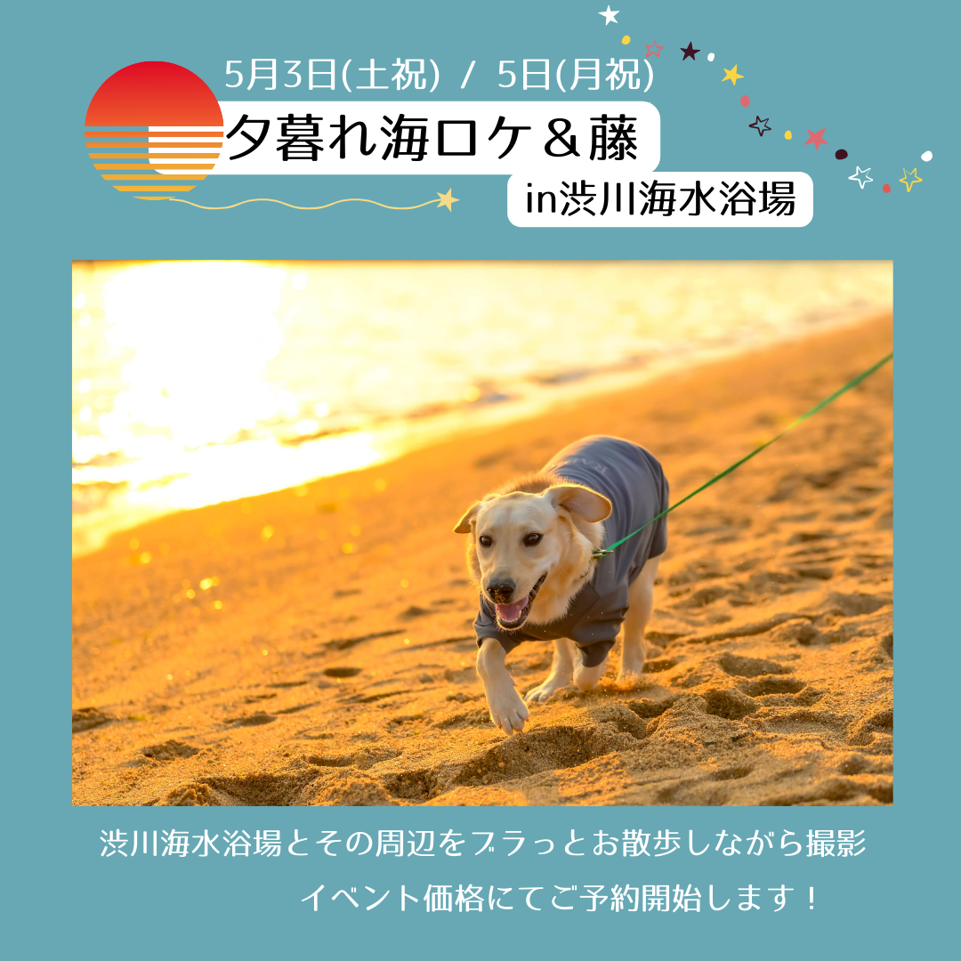 夕暮れ海ロケ＆藤in渋川海水浴場