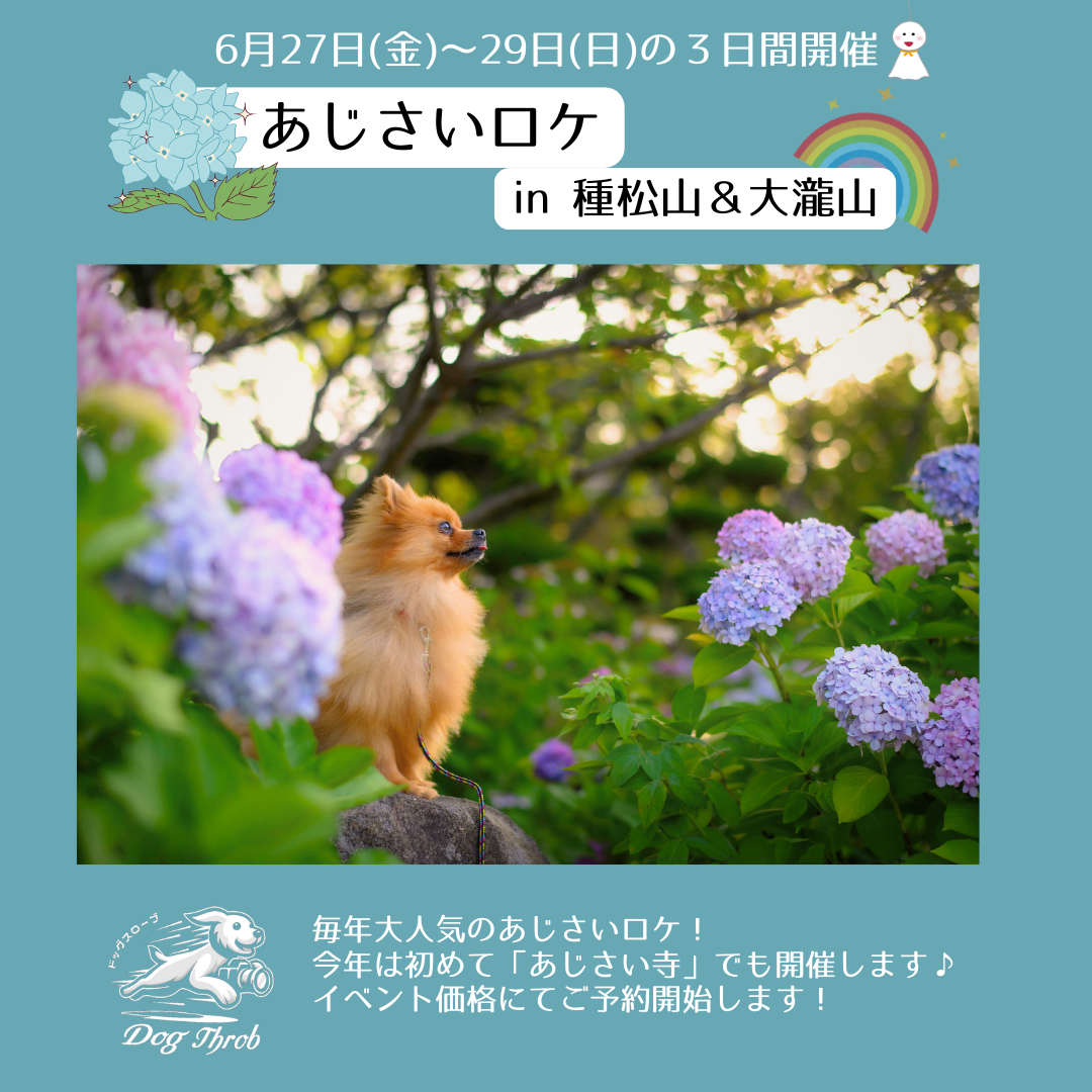あじさいロケin種松山＆大瀧山