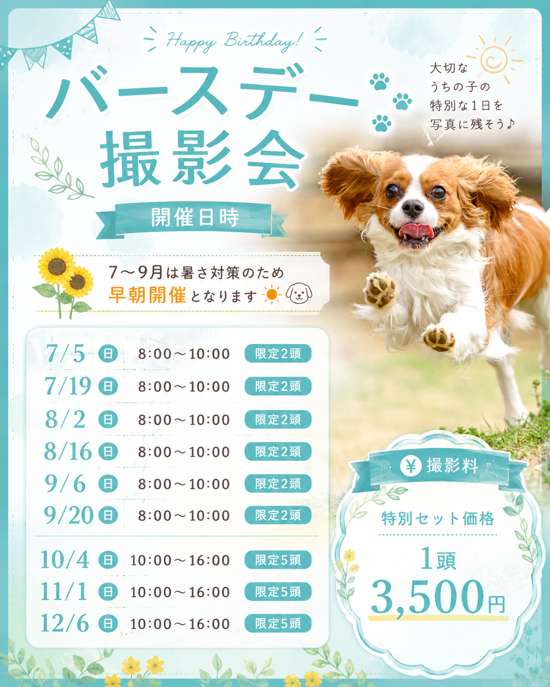 【月1回開催】バースデー撮影会2026