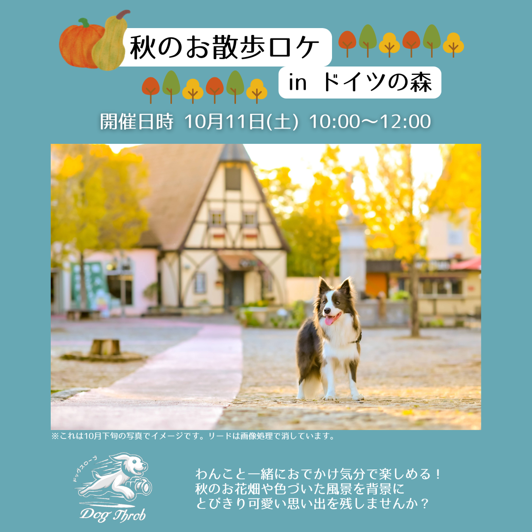 秋のお散歩ロケinドイツの森