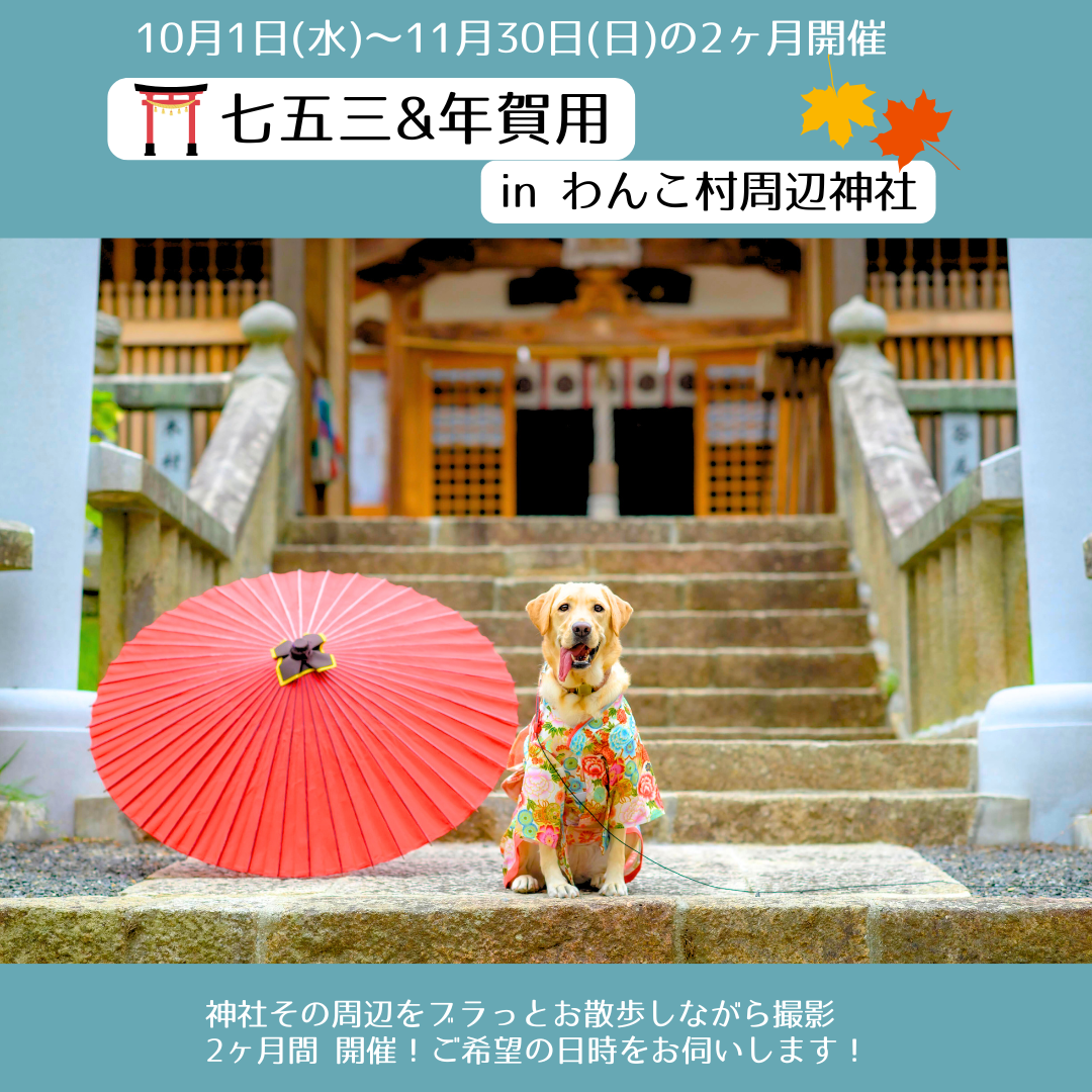七五三＆年賀用ロケin わんこ村周辺の神社