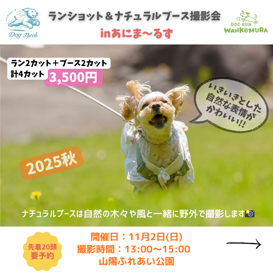 ランショット＆ナチュラルブース撮影会 in あにま～るず2025秋