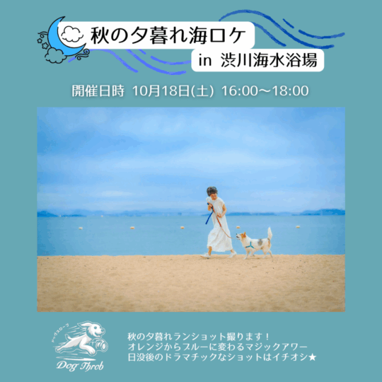 秋の夕暮れ海ロケin渋川海水浴場