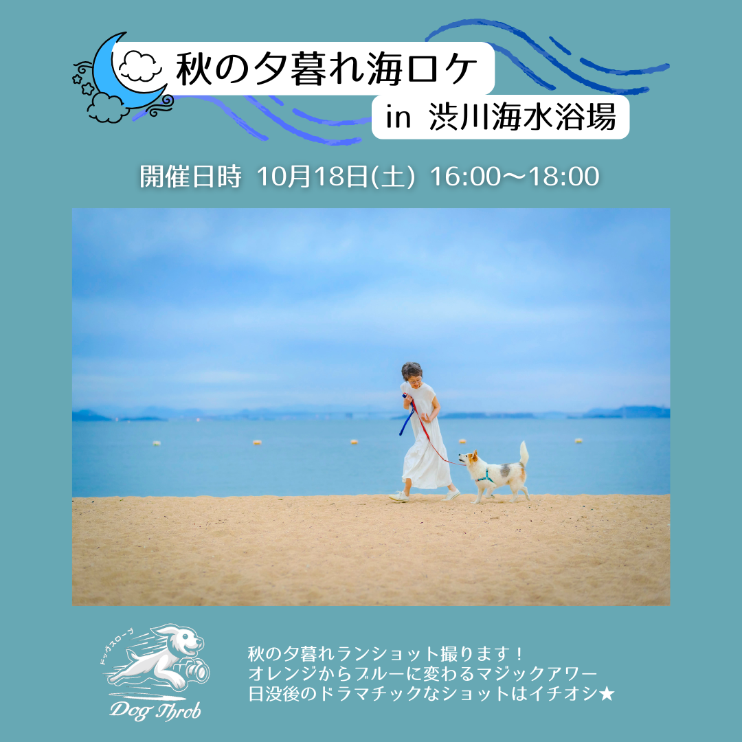 秋の夕暮れ海ロケin渋川海水浴場