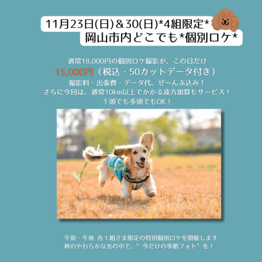 秋の特別個別ロケin岡山市内