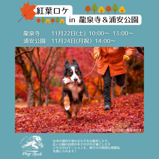 紅葉ロケin龍泉寺＆浦安公園