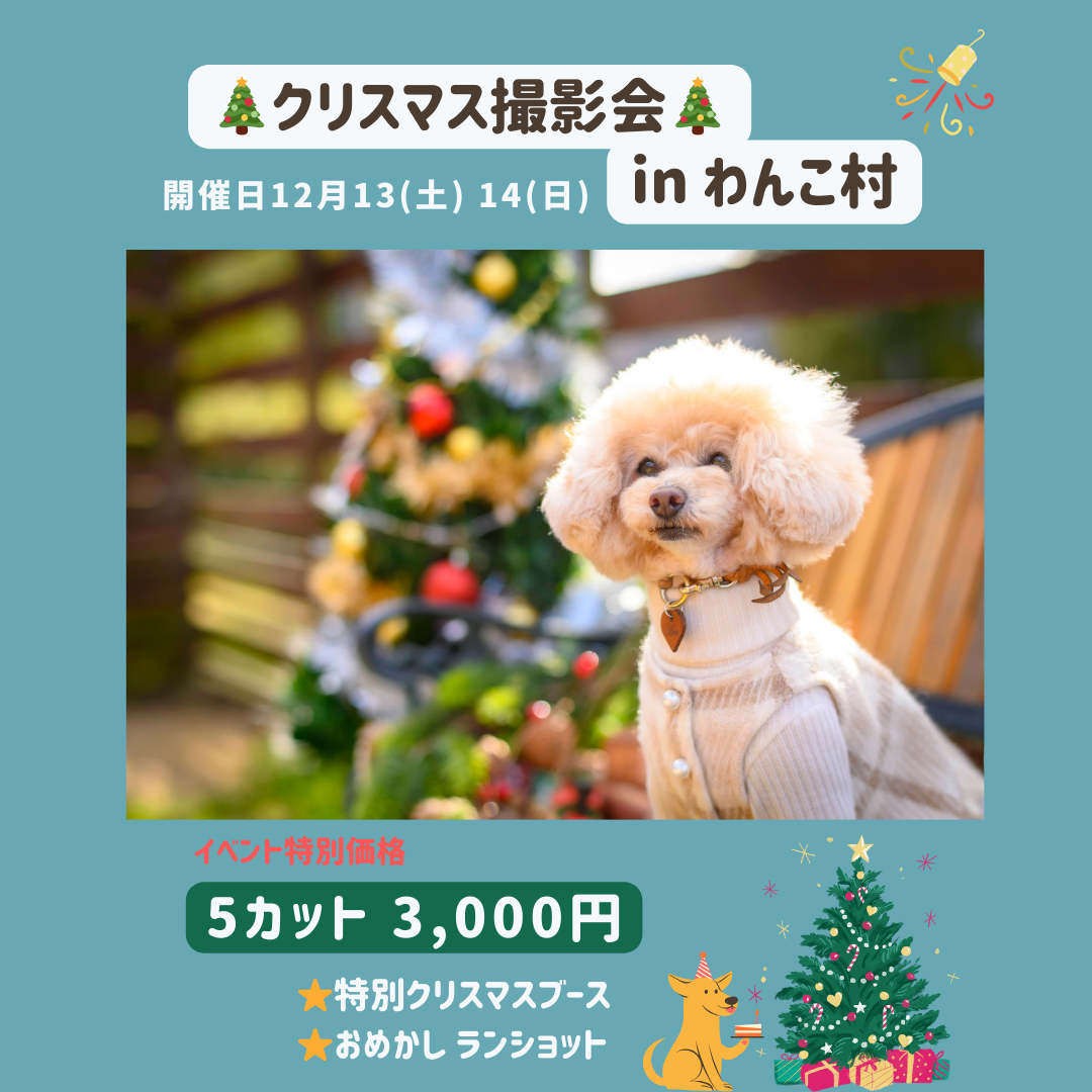 クリスマス撮影会inわんこ村
