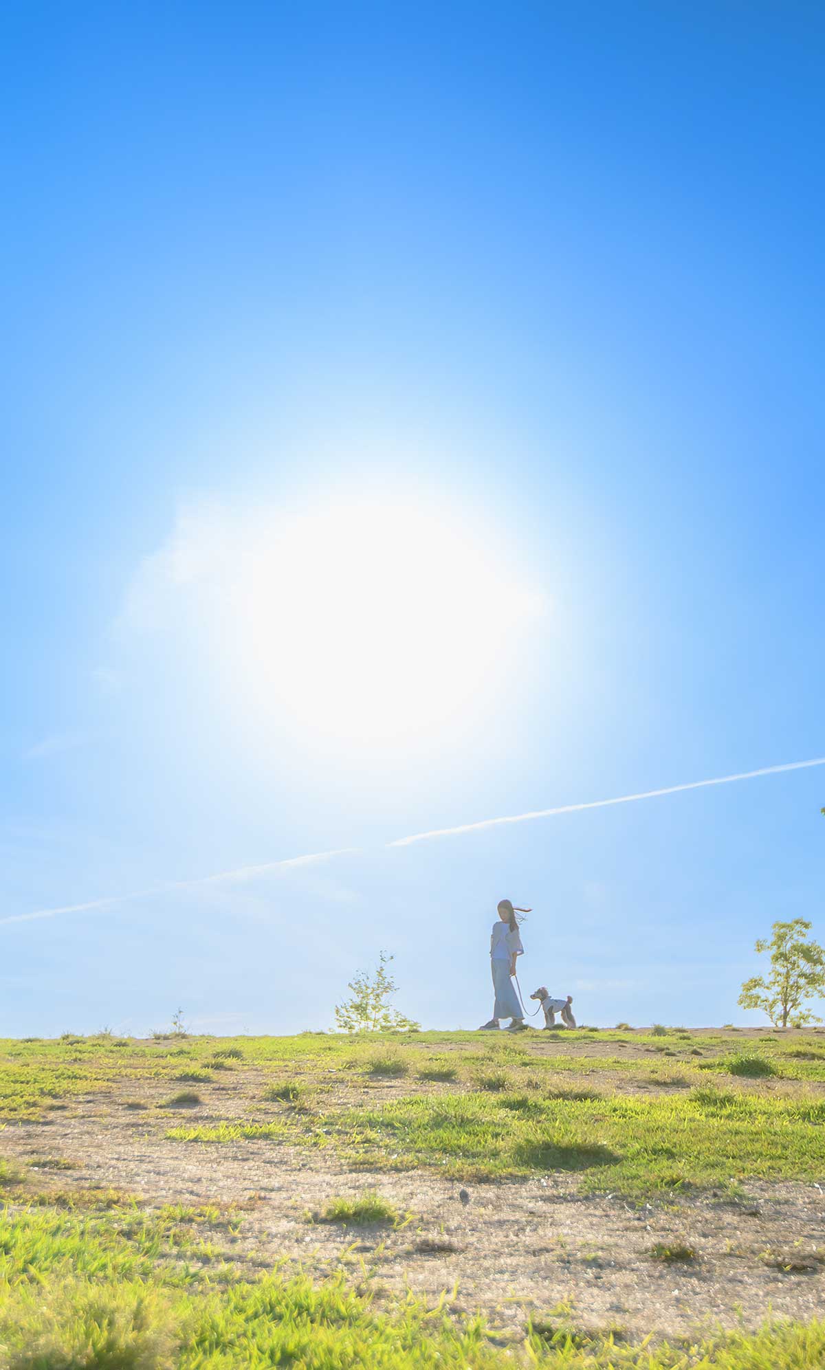 この空も、この光も、 うちの子とおるだけで、特別。