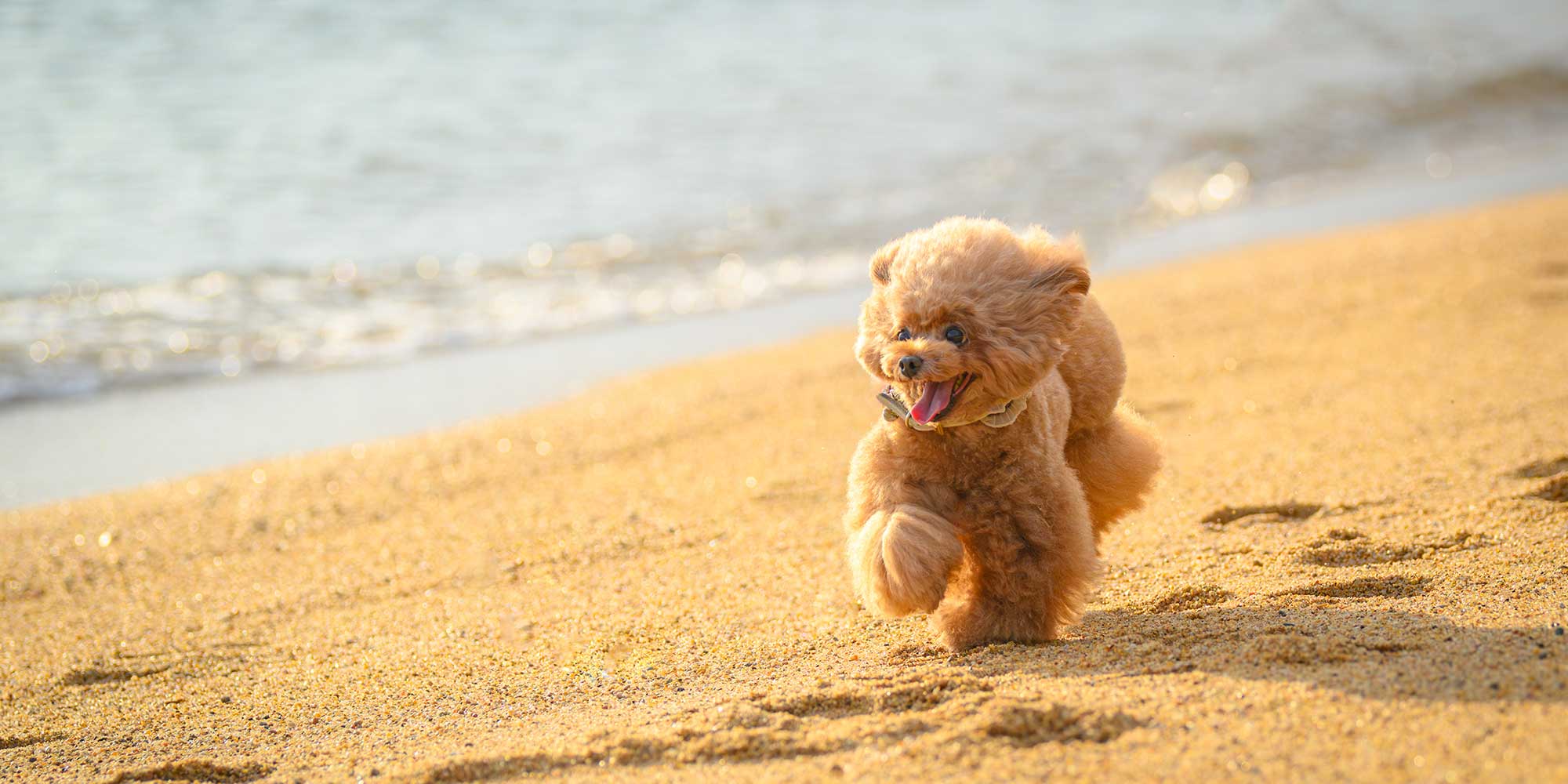 おでかけ・イベント撮影会