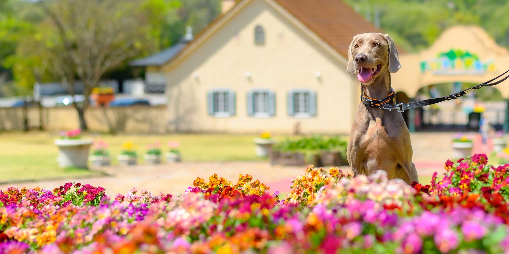 個別の出張ロケ撮影